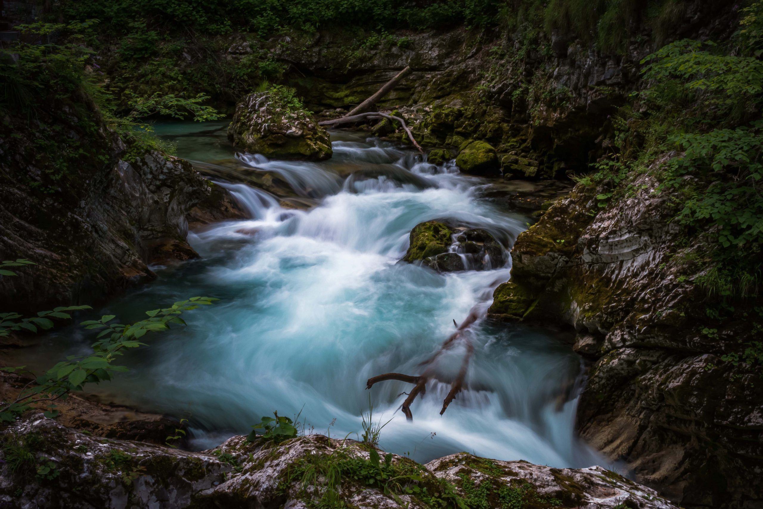 Bled Gorge