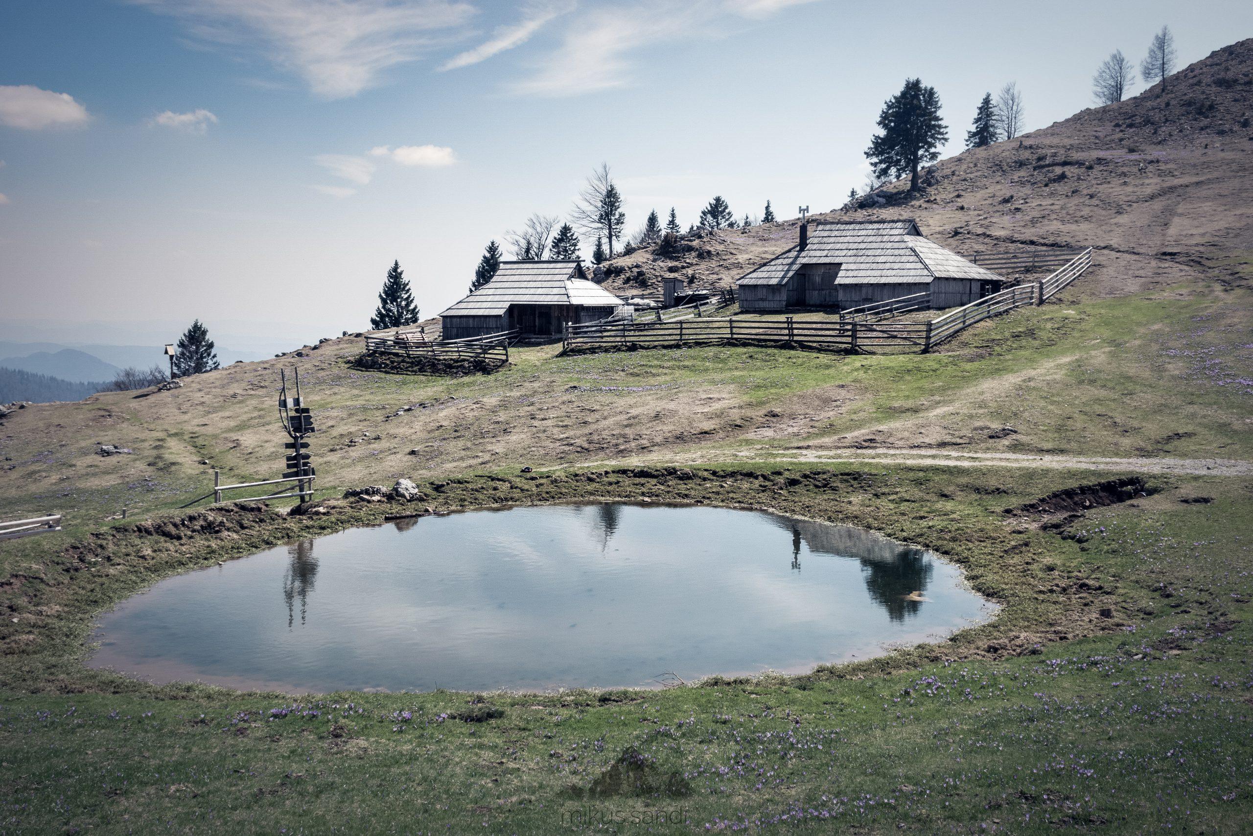 Velika Planina